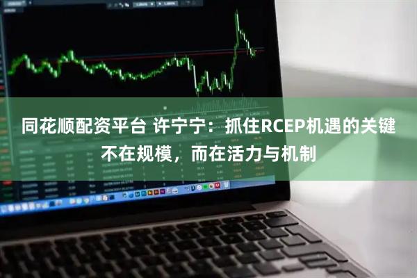 同花顺配资平台 许宁宁：抓住RCEP机遇的关键不在规模，而在活力与机制